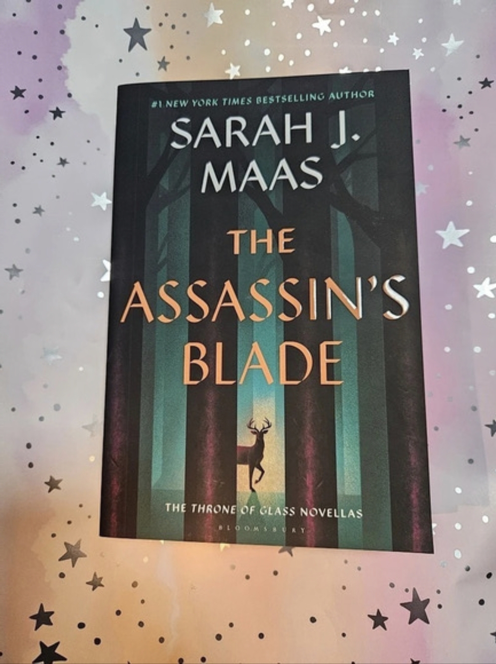 The Assassin's Blade by Sarah J. Maas Paperback Novel